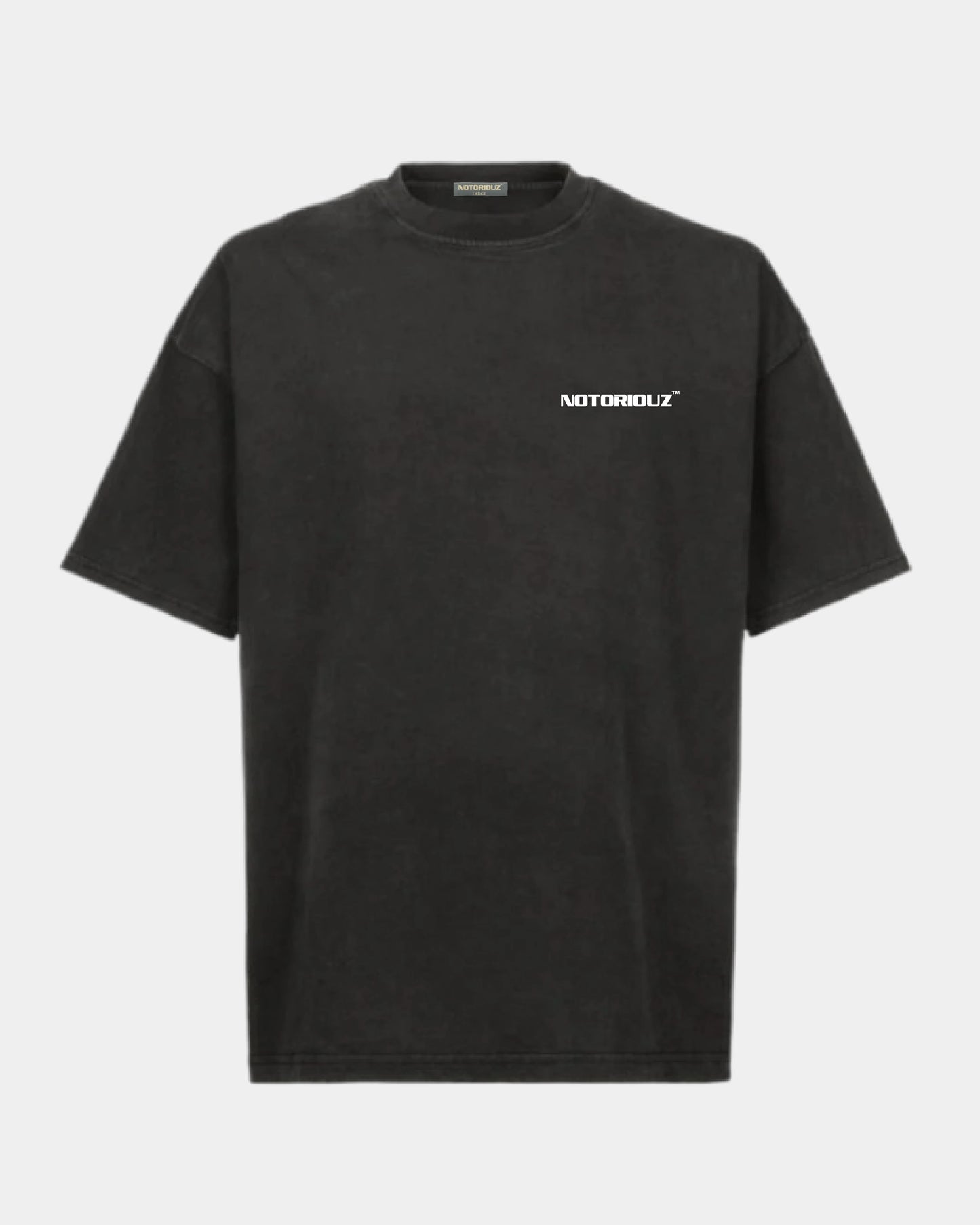 Bunny Oversized Tee V2