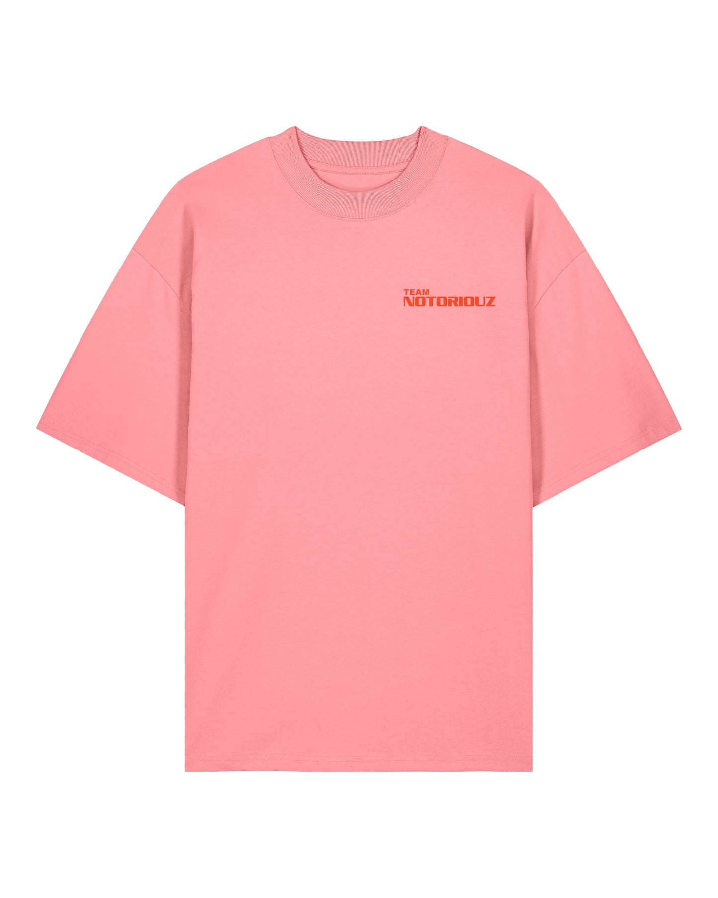 Notoriouz Team T-Shirt – Don’t Talk, Do It | Notoriouz Sportswear